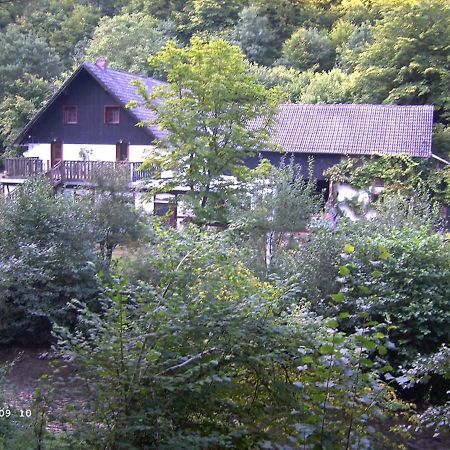 Neumuehle Ferienwohnung 2 Lutzerath Dış mekan fotoğraf
