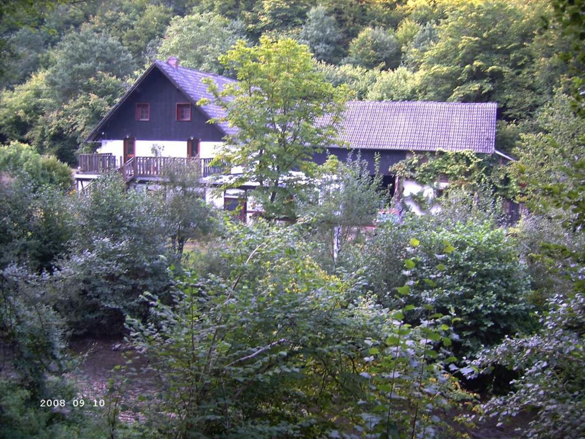 Neumuehle Ferienwohnung 2 Lutzerath Dış mekan fotoğraf